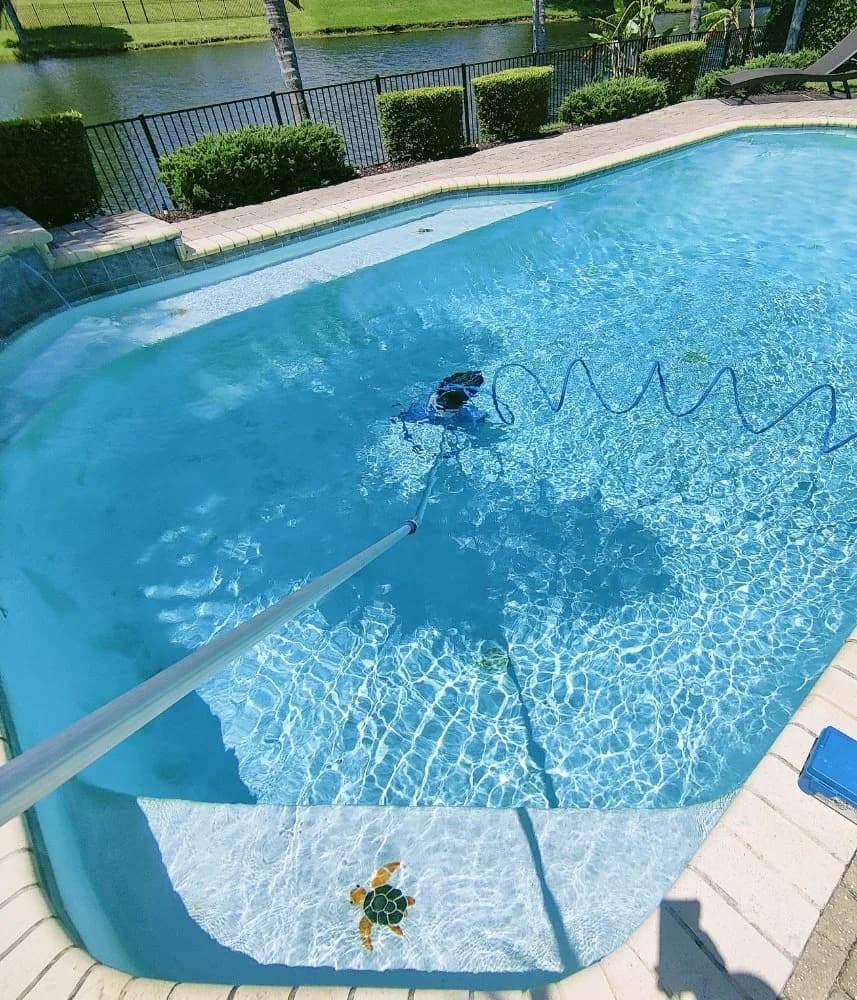 Year-round Pools — photo 2
