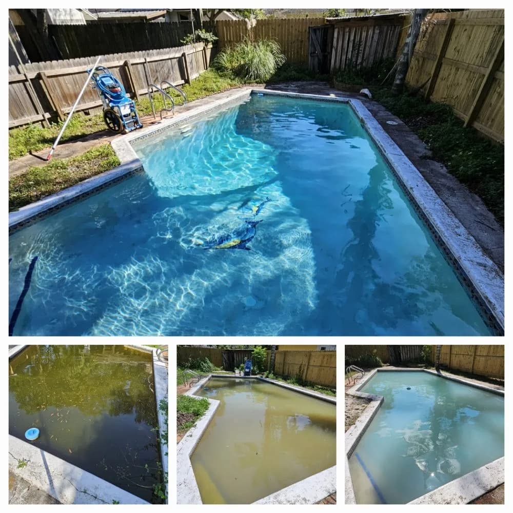 Bluebird Pools — photo 3